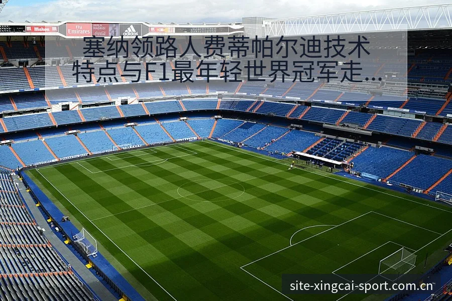 塞纳领路人费蒂帕尔迪技术特点与F1最年轻世界冠军走势分析 - 杏彩